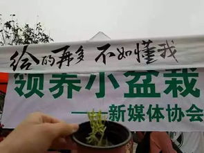 文化傳播類 新媒體協會