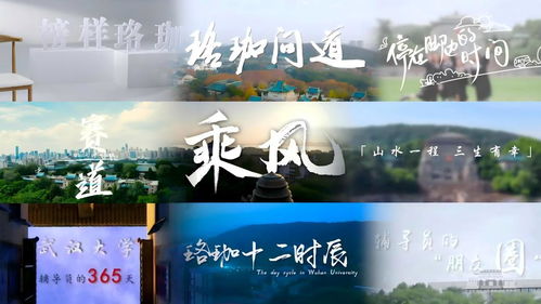 以心鑄魂 用情筑夢(mèng) 著力培養(yǎng)堪當(dāng)大任的時(shí)代新人